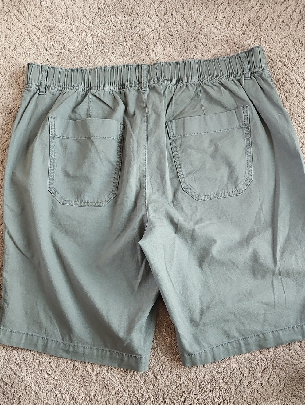 Sonoma Woman's Sage Green Flat Front Casual Shorts - Picture 3 of 4